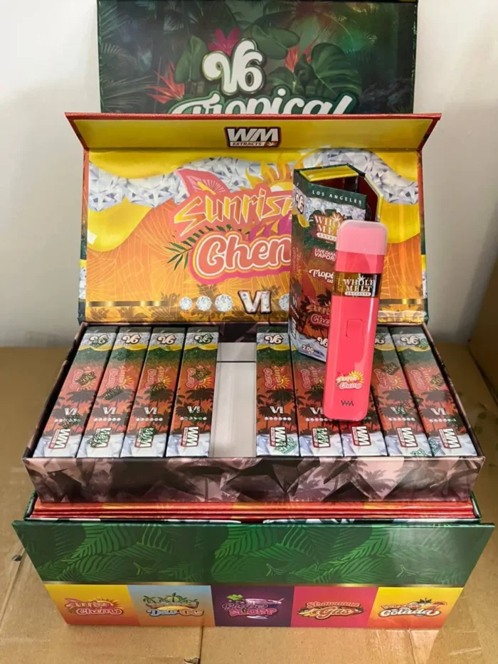 Whole Melt v6 Disposable | 100 Pack variety Box