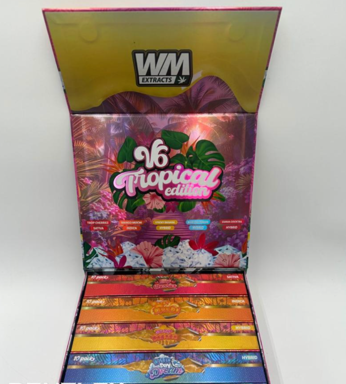 Whole Melt v6 Disposable | 100 Pack variety Box