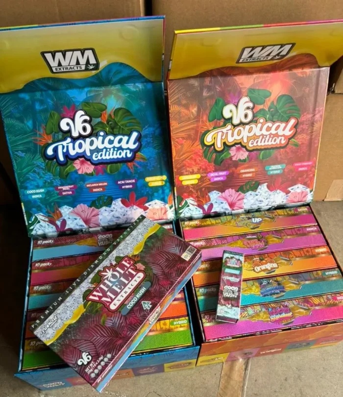 Whole Melt v6 Disposable | 100 Pack variety Box